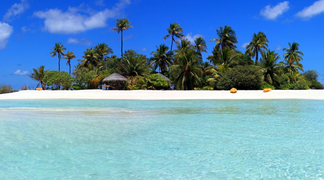 île des Maldives