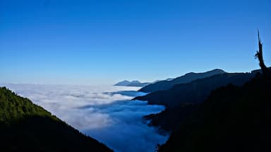 Caption---- sea of Clouds during Early morning at Alishan, Taiwan