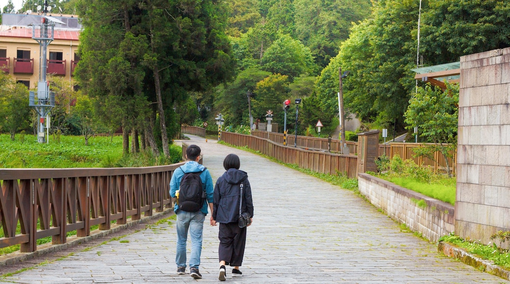 picture of couple holding hands and walking on the road near Alishan train station. Alishan Taiwan