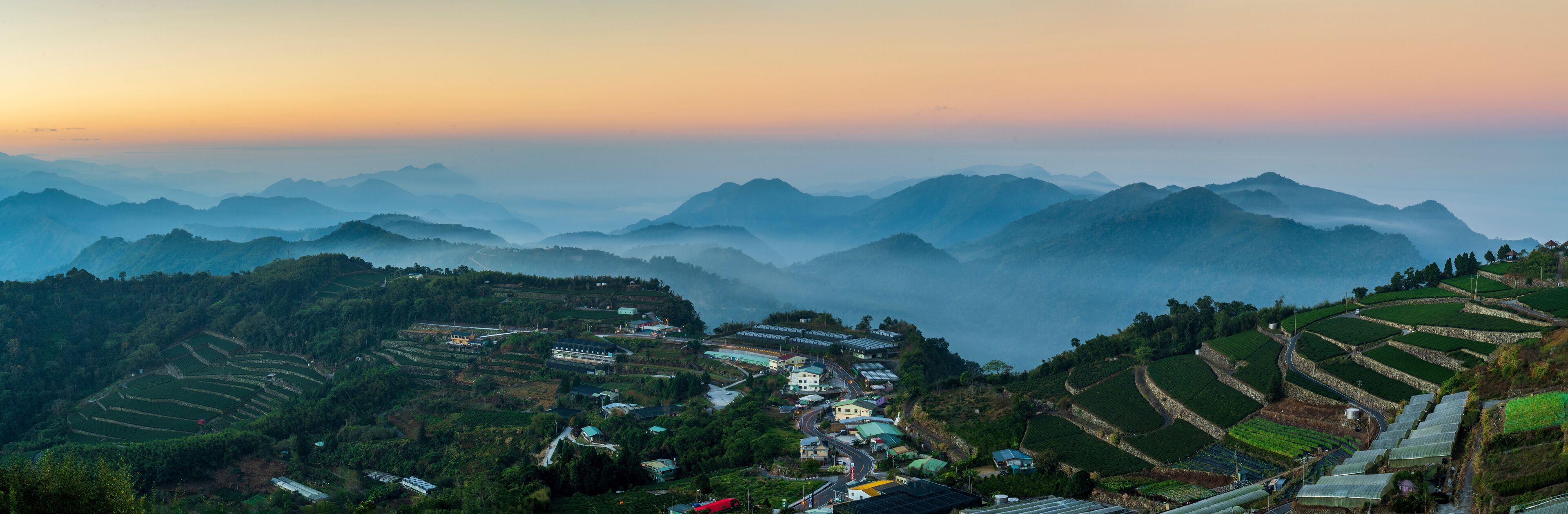 Tea garden in Alishan