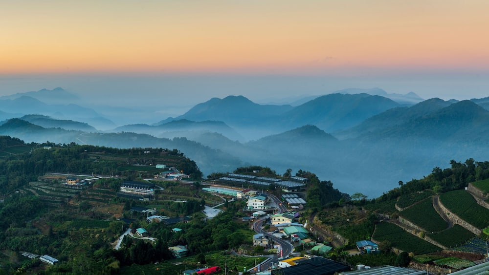 Tea garden in Alishan