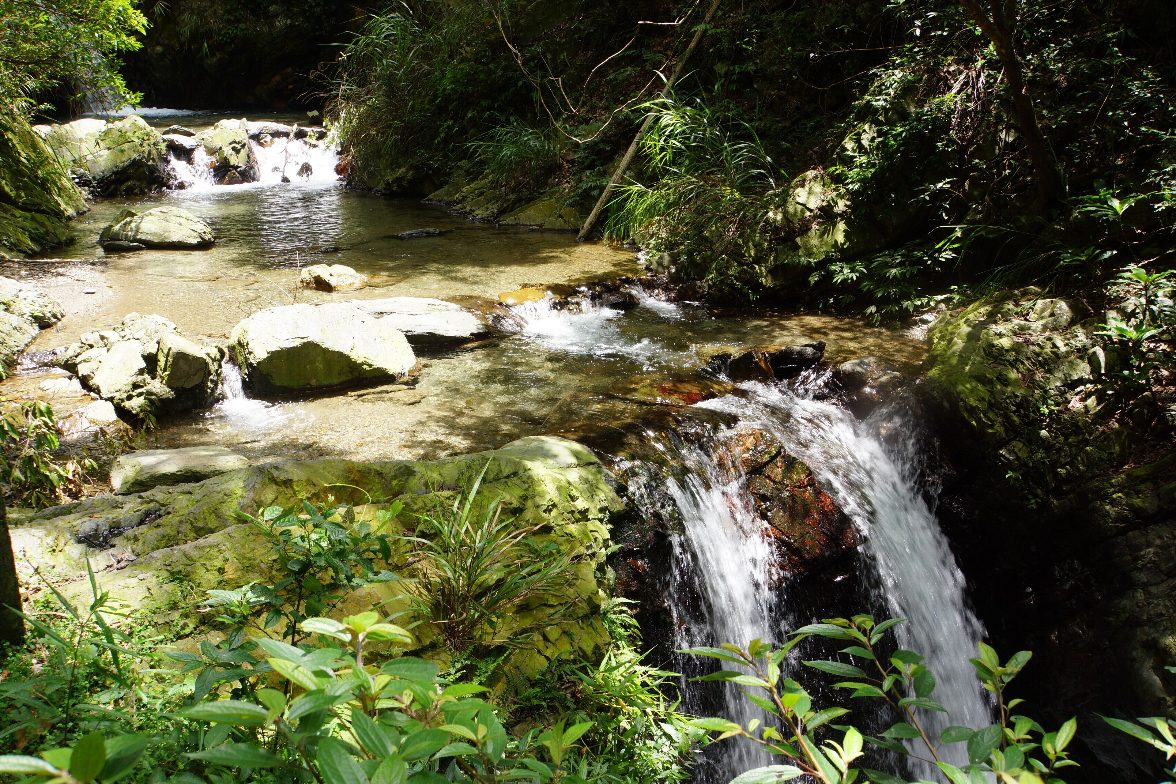 A small waterfall in a forested area with rocks and greenery.