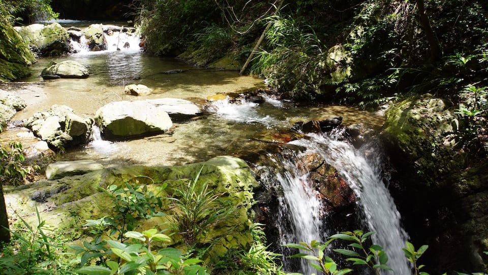 A small waterfall in a forested area with rocks and greenery.