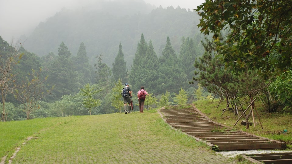 Two hikers on a paved path surrounded by greenery and foggy mountains.