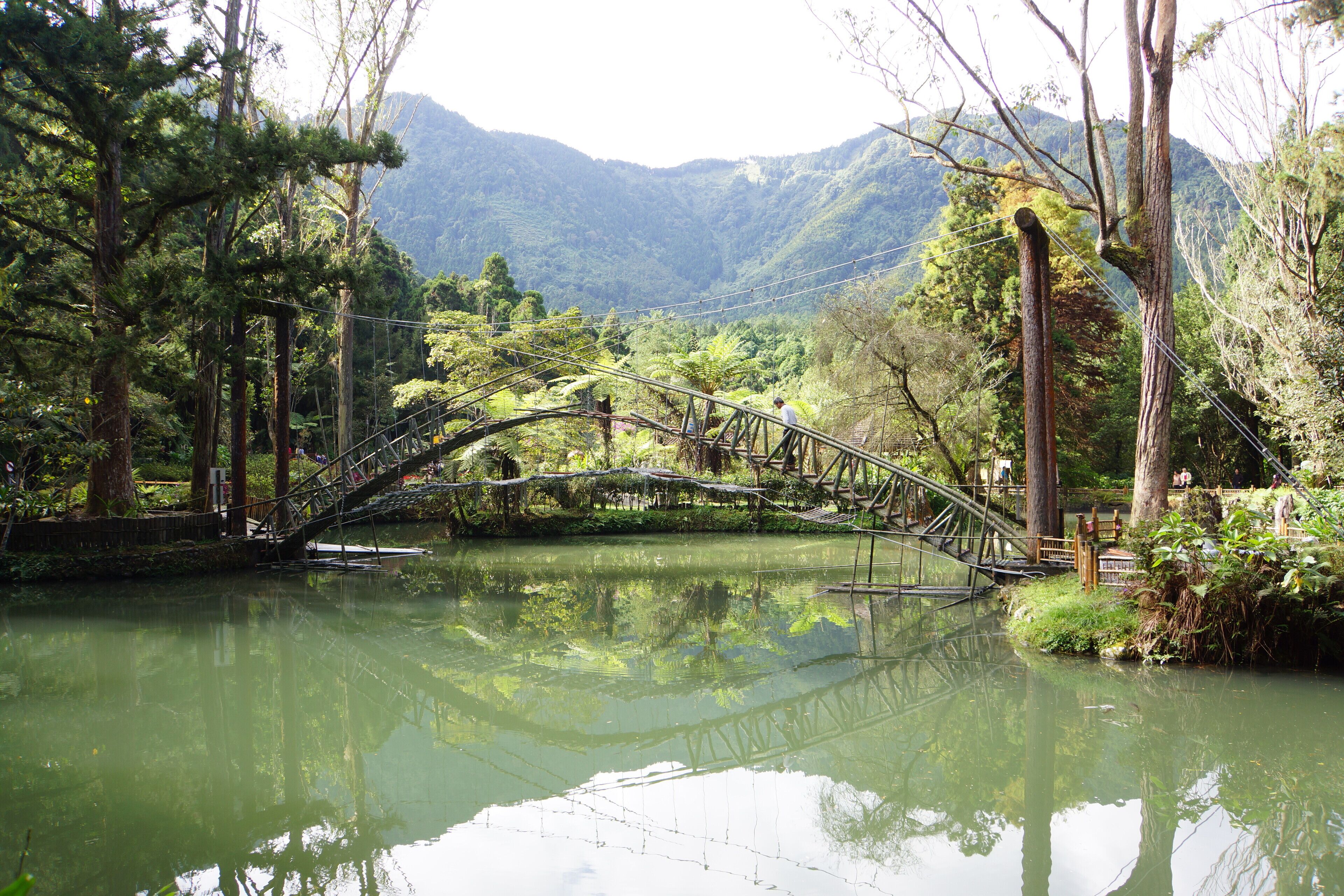 Daxue Pond 大學池