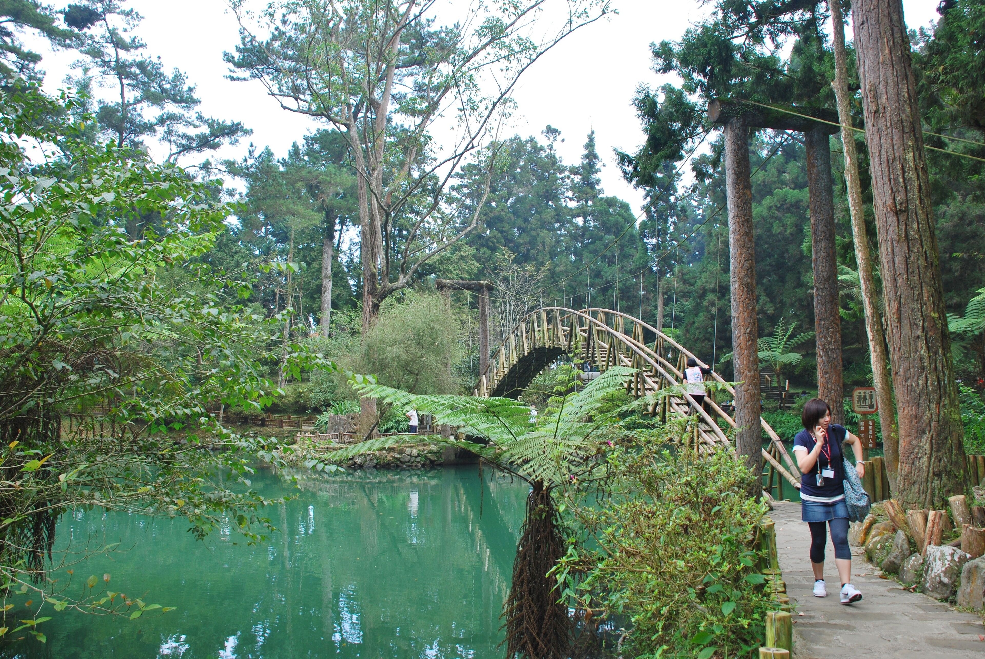 558, Taiwan, 南投縣鹿谷鄉內湖村