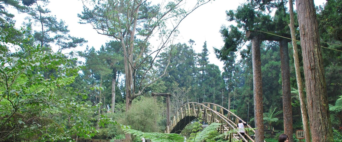 558, Taiwan, 南投縣鹿谷鄉內湖村