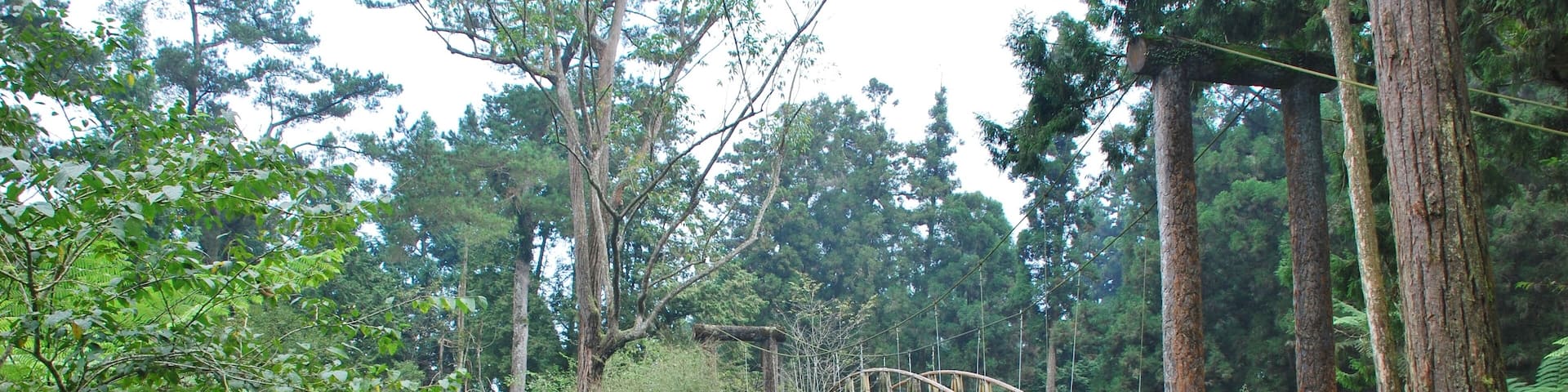 558, Taiwan, 南投縣鹿谷鄉內湖村