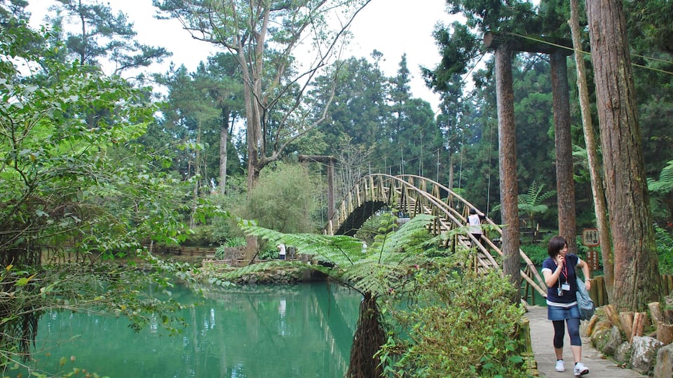 A wooden bridge over a calm river surrounded by dense forest.