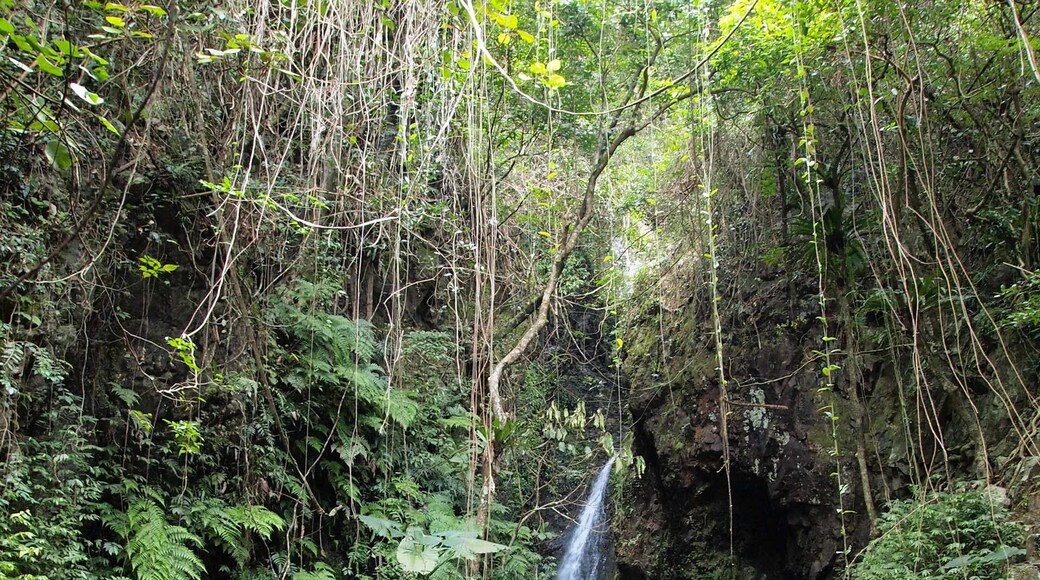 Ng Tung Chai waterfall of Tai Po country park, Hong Kong