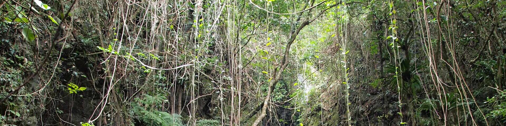 Ng Tung Chai waterfall of Tai Po country park, Hong Kong