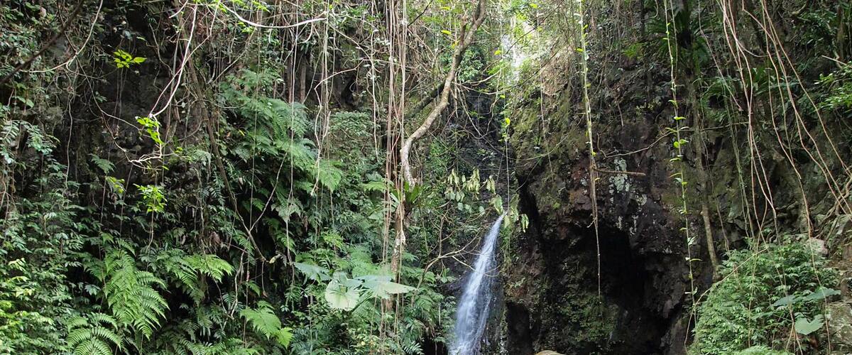 A waterfall cascading over rocks in a lush forest.
