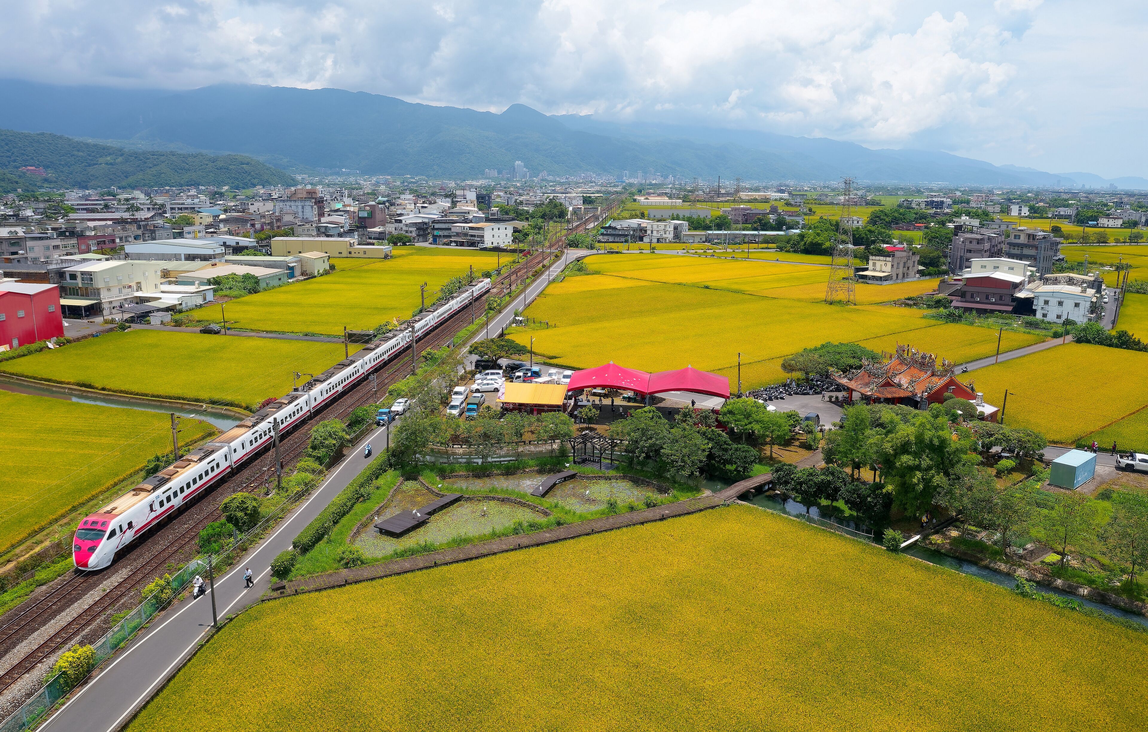 Aerial view of a Puyuma Express train traveling through rice paddy fields in the season of golden harvest with houses scattered between farmlands & mountains on distant horizon in Jiaoxi, Yilan Taiwan