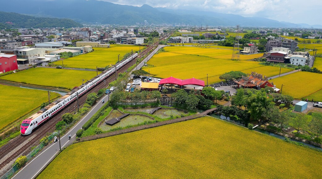 Aerial view of a Puyuma Express train traveling through rice paddy fields in the season of golden harvest with houses scattered between farmlands & mountains on distant horizon in Jiaoxi, Yilan Taiwan