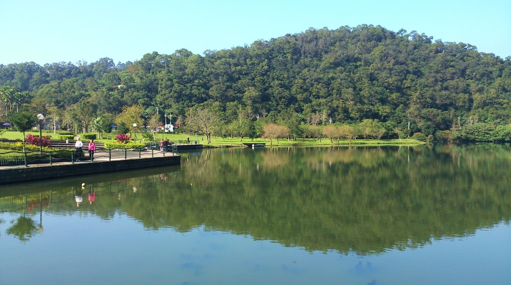 Longtanhou Park 龍潭湖公園
