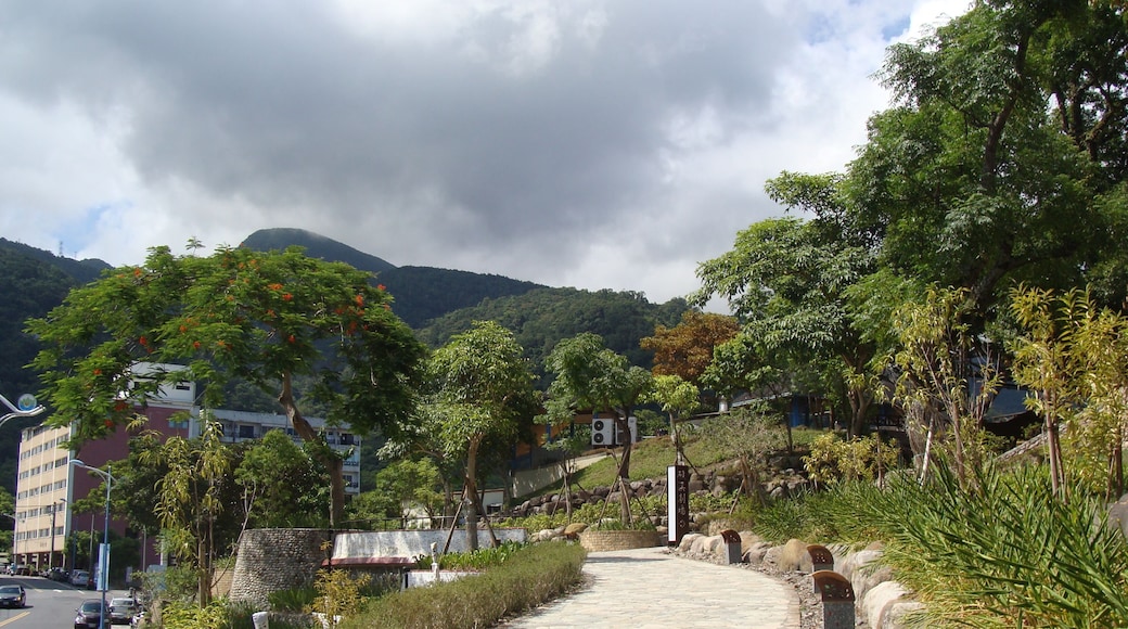 park, Shutterstock ID 642364690, SF SSA Case with Manager Approval: Case 07151371, Job: Prepay credit, Client/Licensee: , Other: