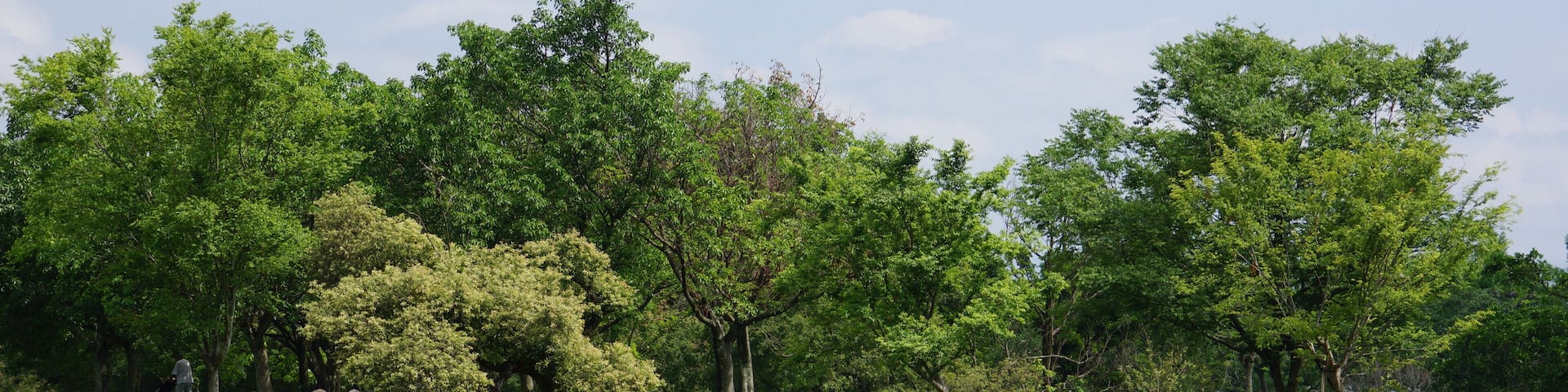 Luodong Sports Park 羅東運動公園