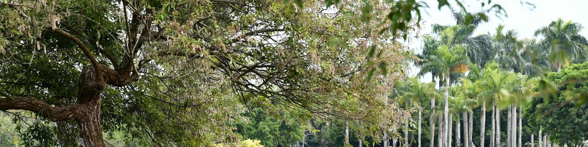 Taiwan - Mar 30, 2024: Luodong Sports Park transforms in spring. Visitors flock to admire the captivating lake reflections and the beauty of the natural rock formations.