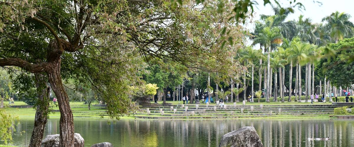 A serene park with a pond, large rocks, and a tree.