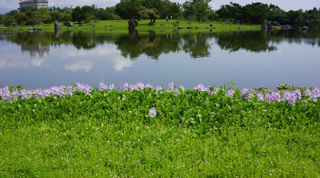 çŸ
æ±éćć
Źć Luodong Sports Park