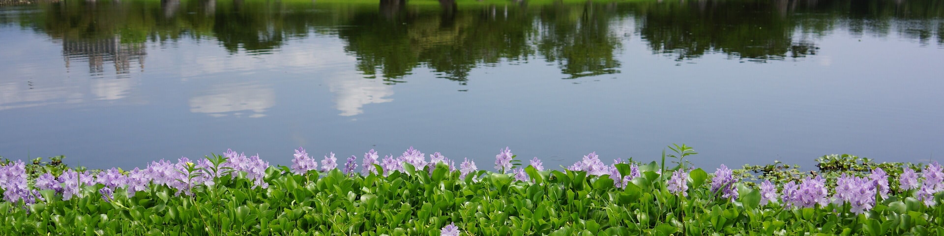 羅東運動公園 Luodong Sports Park