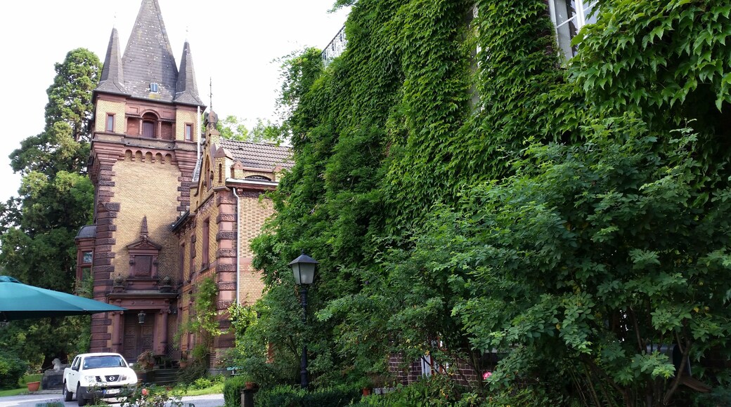 Kempen - Gut Heimendahl, juli 2014