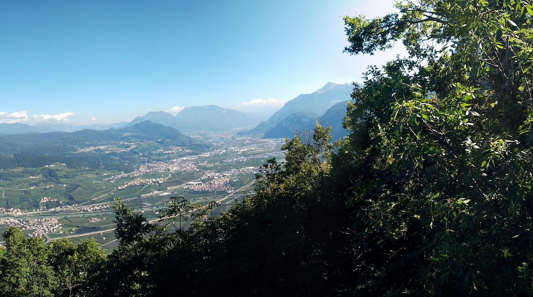 Further authorizations required by the Italian "Code of Cultural Heritage and Landscape" (Codice Urbani), under Legislative Decree No. 42, dated January 22, 2004, and its subsequent amendments, regarding the reuse of the picture. This image reproduces a property belonging to the Italian cultural heritage as entrusted to the Italian government. Such images are regulated by Articles 106 et seq. of the Italian Code of Cultural Heritage and Landscape under Legislative Decree No. 42, dated January 22, 2004, and its subsequent amendments. These regulations, unrelated to copyright regulations, establish a system for the protection of Italy’s historic and artistic heritage and its standards of dignity. Among other things, these regulations provide for the payment of a concession fee by those who intend to benefit economically from reproductions of property belonging to the Italian cultural heritage. Reproduction of this image is permitted for personal use or study. A further authorization by the Italian Ministry of Heritage and Culture is required for reproduction for any other purpose, and particularly for commercial use. Such commercial use includes, but is not limited to, use in (a) any form of advertising, and (b) any company name, logo, trademark, image, activity, or product.