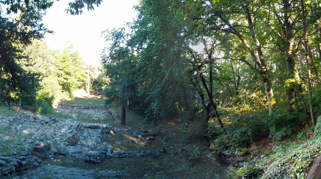 Further authorizations required by the Italian "Code of Cultural Heritage and Landscape" (Codice Urbani), under Legislative Decree No. 42, dated January 22, 2004, and its subsequent amendments, regarding the reuse of the picture. This image reproduces a property belonging to the Italian cultural heritage as entrusted to the Italian government. Such images are regulated by Articles 106 et seq. of the Italian Code of Cultural Heritage and Landscape under Legislative Decree No. 42, dated January 22, 2004, and its subsequent amendments. These regulations, unrelated to copyright regulations, establish a system for the protection of Italy’s historic and artistic heritage and its standards of dignity. Among other things, these regulations provide for the payment of a concession fee by those who intend to benefit economically from reproductions of property belonging to the Italian cultural heritage. Reproduction of this image is permitted for personal use or study. A further authorization by the Italian Ministry of Heritage and Culture is required for reproduction for any other purpose, and particularly for commercial use. Such commercial use includes, but is not limited to, use in (a) any form of advertising, and (b) any company name, logo, trademark, image, activity, or product.