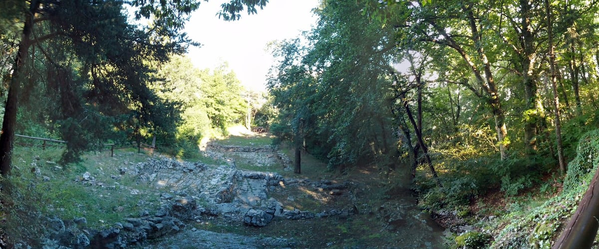 A forested area with a stone structure and a wooden fence.