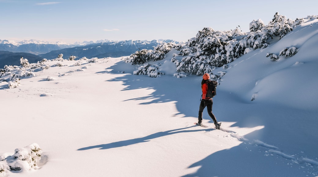Een persoon skiënd op een met sneeuw bedekte helling, met bergen op de achtergrond.