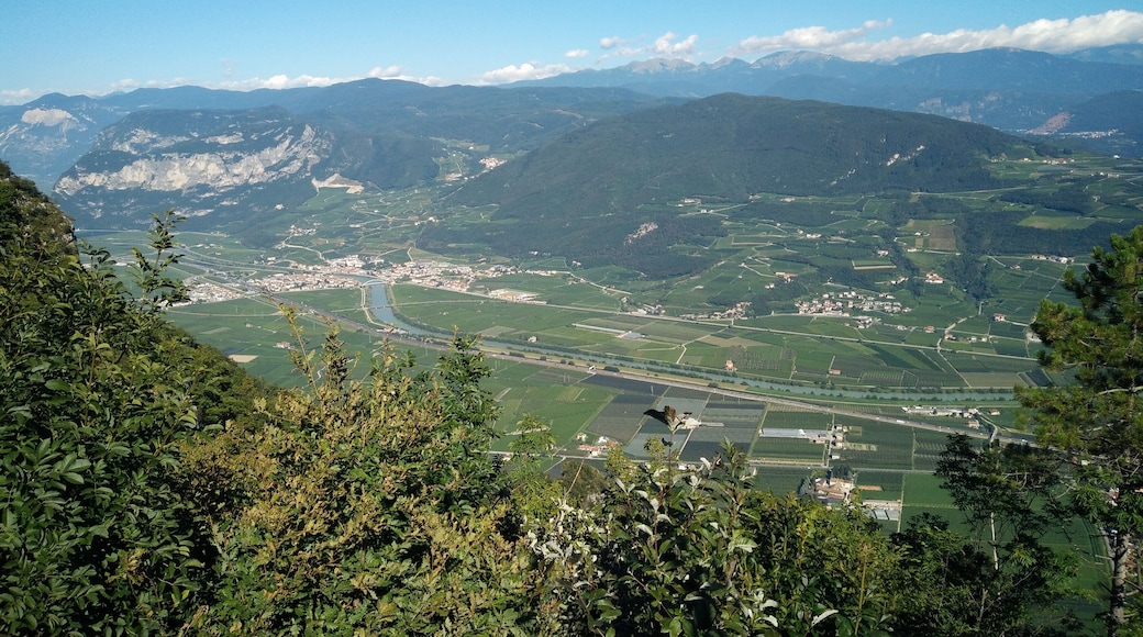 Further authorizations required by the Italian "Code of Cultural Heritage and Landscape" (Codice Urbani), under Legislative Decree No. 42, dated January 22, 2004, and its subsequent amendments, regarding the reuse of the picture. This image reproduces a property belonging to the Italian cultural heritage as entrusted to the Italian government. Such images are regulated by Articles 106 et seq. of the Italian Code of Cultural Heritage and Landscape under Legislative Decree No. 42, dated January 22, 2004, and its subsequent amendments. These regulations, unrelated to copyright regulations, establish a system for the protection of Italy’s historic and artistic heritage and its standards of dignity. Among other things, these regulations provide for the payment of a concession fee by those who intend to benefit economically from reproductions of property belonging to the Italian cultural heritage. Reproduction of this image is permitted for personal use or study. A further authorization by the Italian Ministry of Heritage and Culture is required for reproduction for any other purpose, and particularly for commercial use. Such commercial use includes, but is not limited to, use in (a) any form of advertising, and (b) any company name, logo, trademark, image, activity, or product.