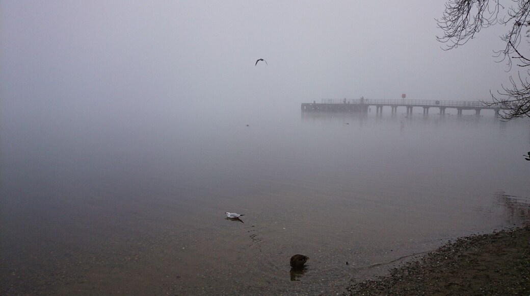 A misty view out onto Loch Lomond.