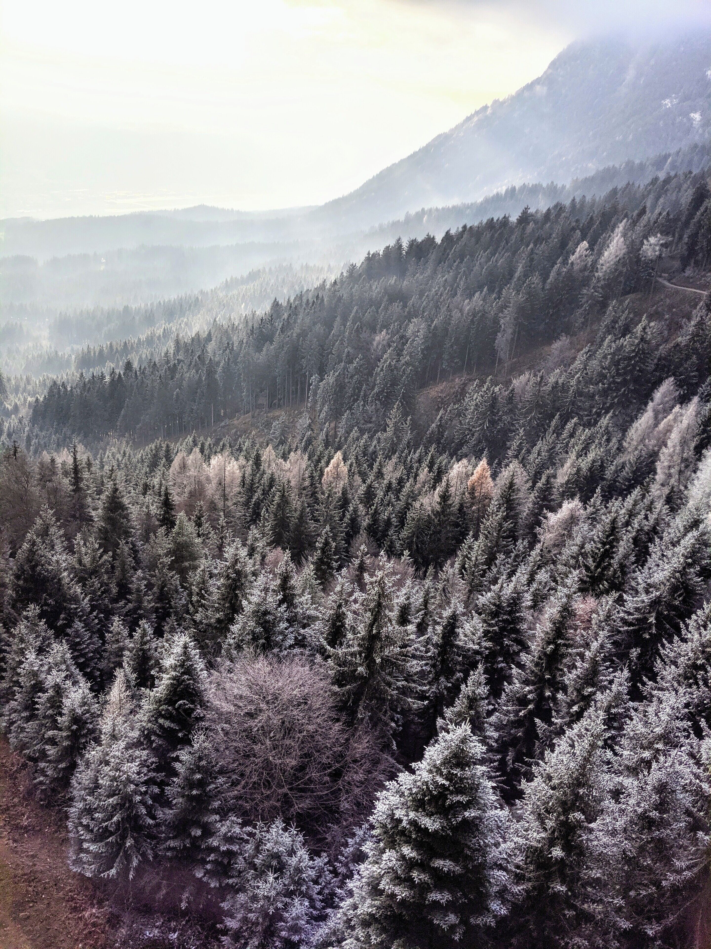 Rewarded with this view on the way up the Nordkette by cable car #lifeatexpediagroup