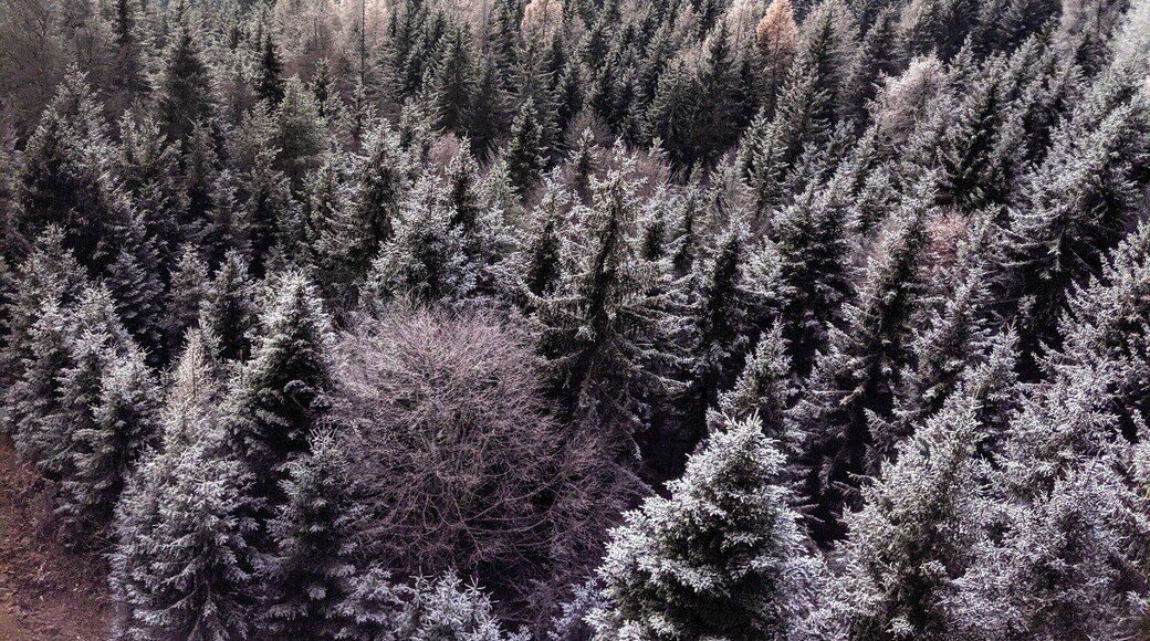 Rewarded with this view on the way up the Nordkette by cable car #lifeatexpediagroup