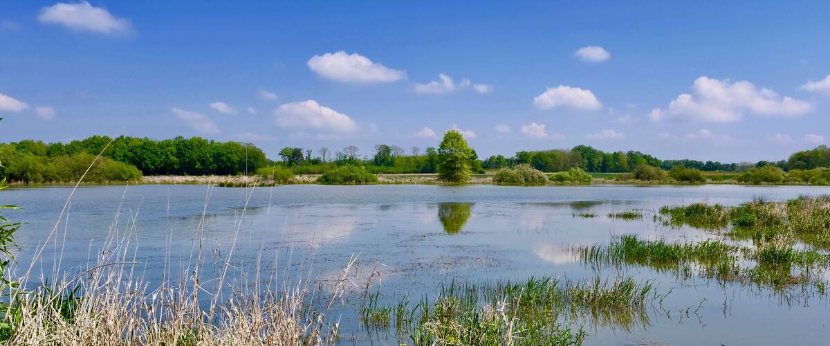A calm river with reflections of trees and sky, surrounded by lush greenery and a clear blue sky.