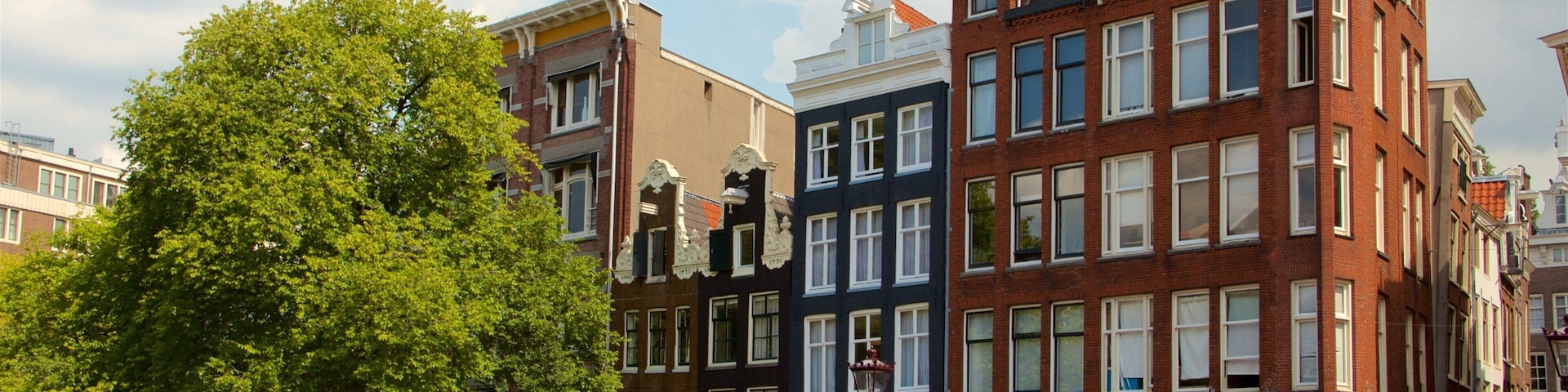 North Holland featuring street scenes as well as a large group of people