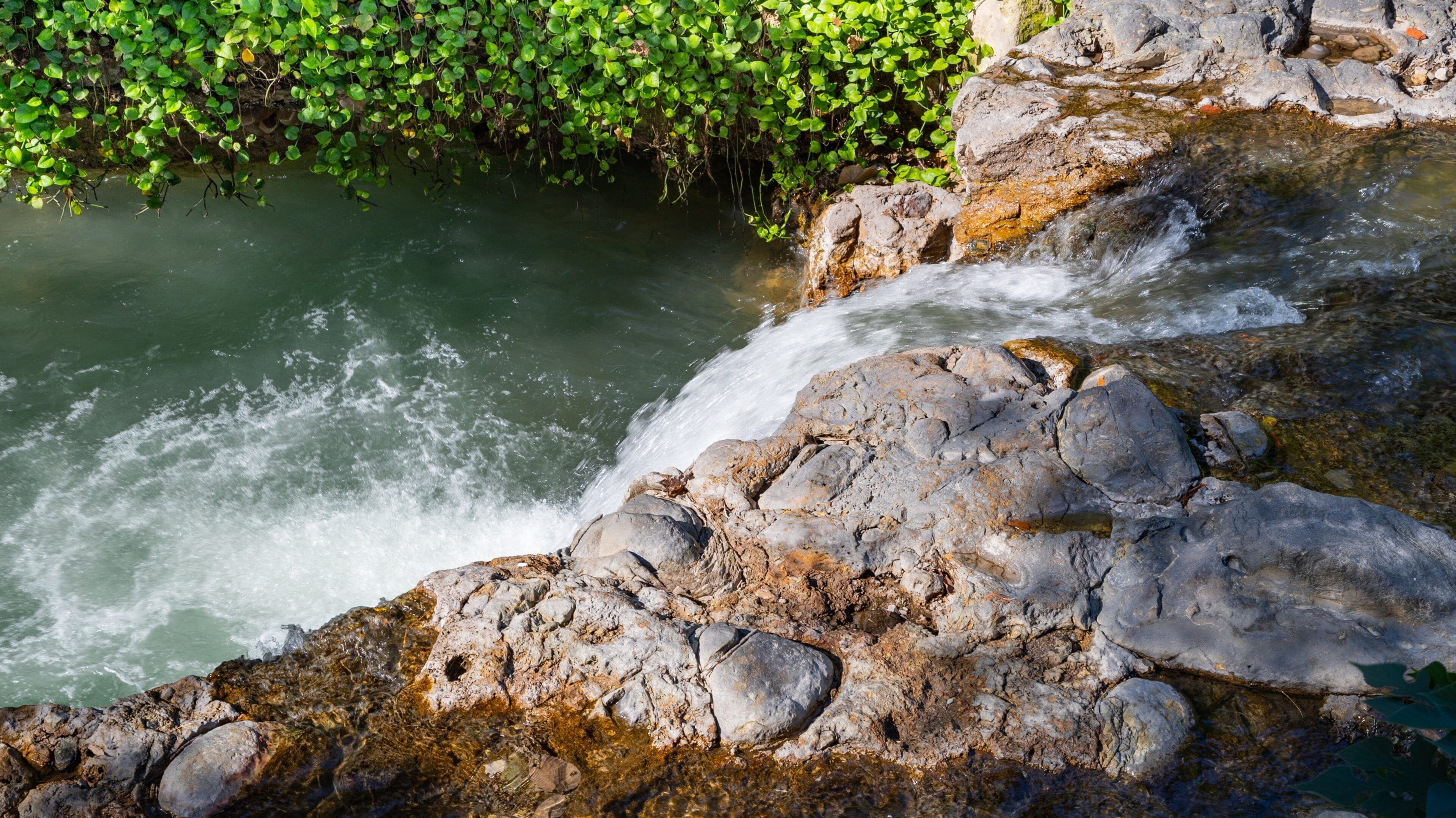 Beitou featuring a river or creek