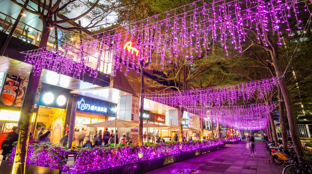 Xinyi featuring a garden and night scenes