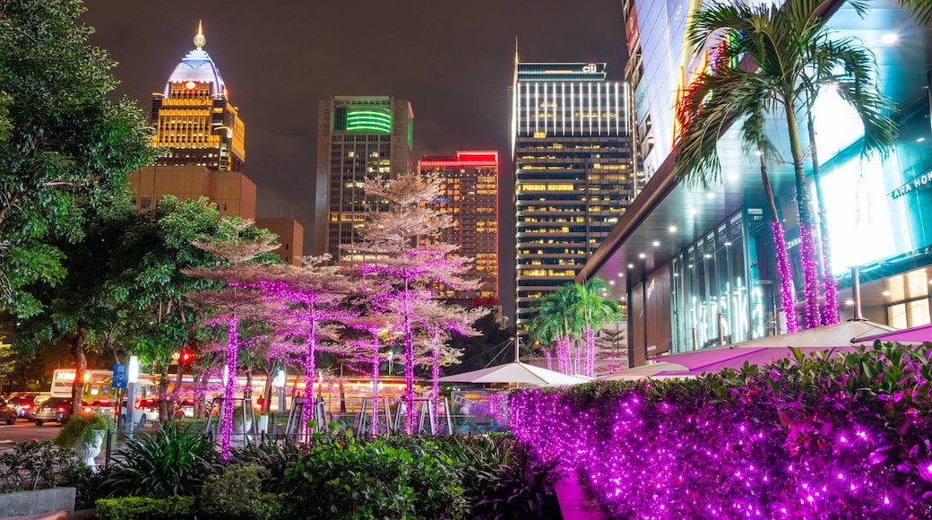 Xinyi featuring a park, night scenes and a city