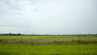 Zeeland featuring farmland and tranquil scenes