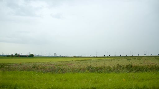 Zeeland featuring farmland and tranquil scenes