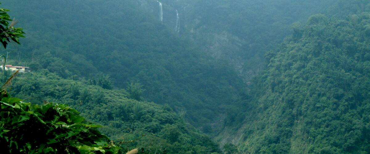 A misty valley with dense green foliage and a waterfall.