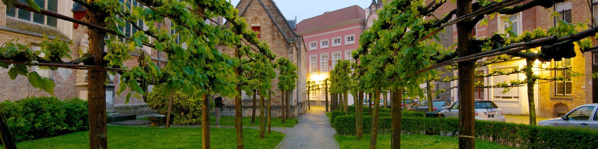 Belgium which includes a park and street scenes