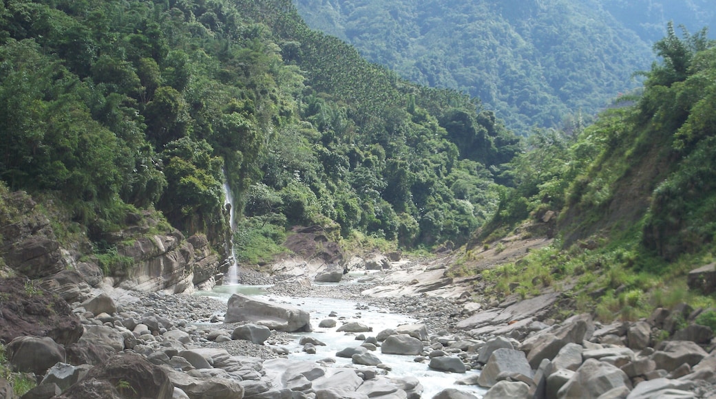 雲林縣古坑鄉 溪水