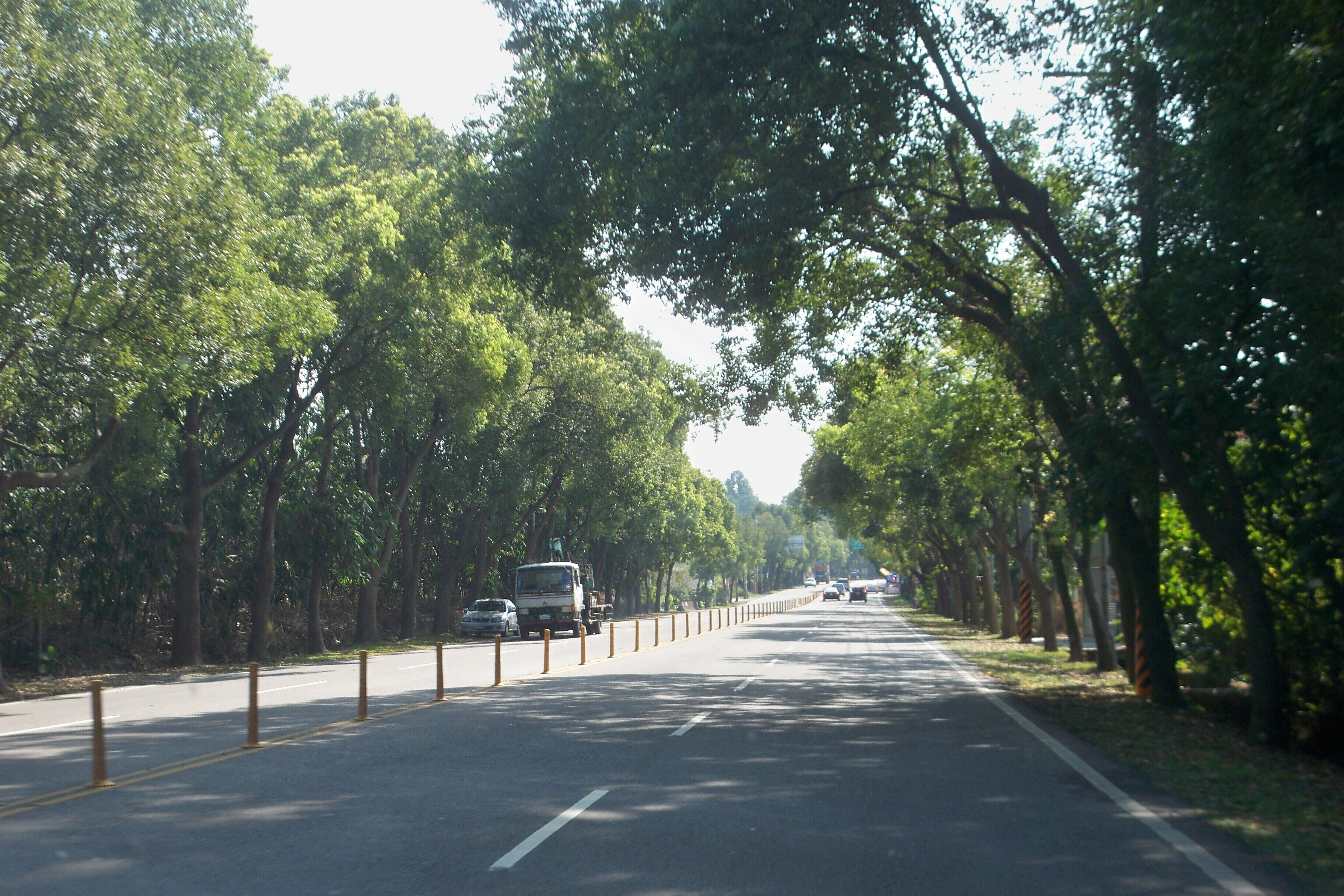 雲林縣古坑鄉 台三線
