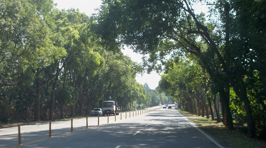雲林縣古坑鄉 台三線