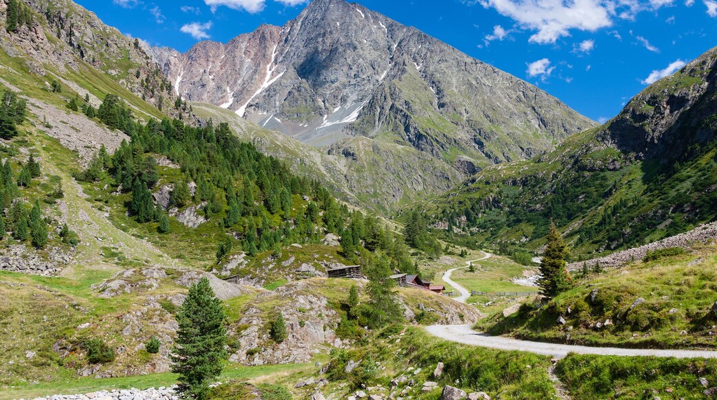 ERPA4J View to the Schrankogel in the Otztal, Austria