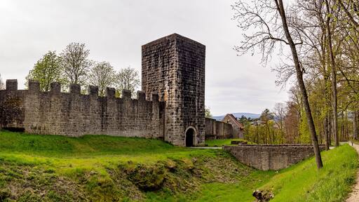 Bad Neustadt an der Saale