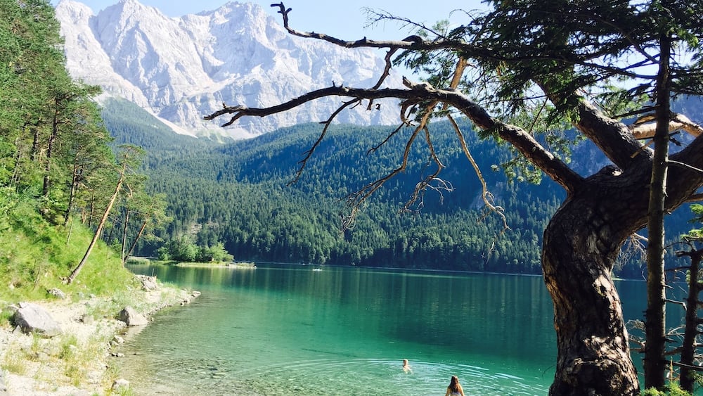Ein klarer See, umgeben von Bergen und Bäumen.