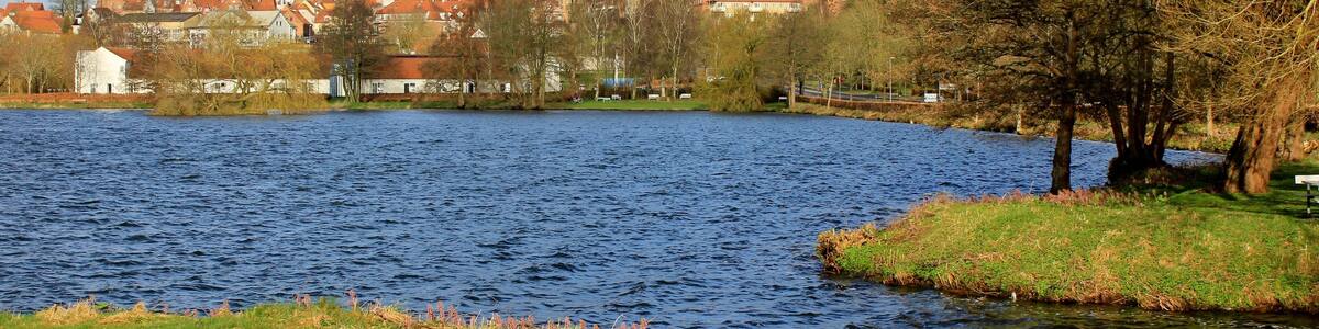 View of the city of Viborg, and Viborg Cathedral, seen from the lake; Soendersoe, (Søndersø) Jutland, Denmark